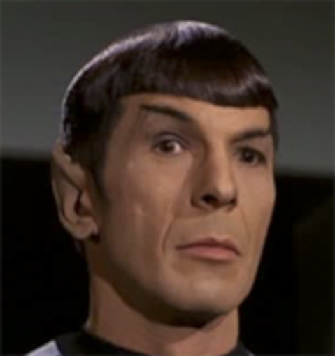 Spock raising an eyebrow